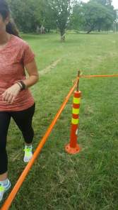 fb_img_1485717268533