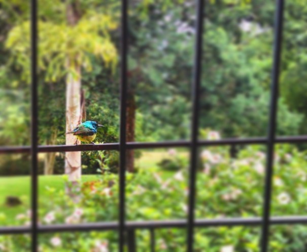 img_20170306_152724_503