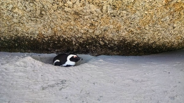 IMG_20170318_001842_899