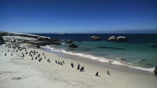 IMG_20170318_002356_936